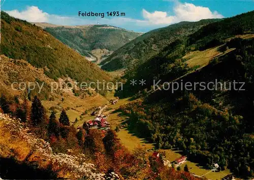 AK / Ansichtskarte Feldberg Schwarzwald Panorama Wiesental Herbststimmung Kat. Feldberg (Schwarzwald)