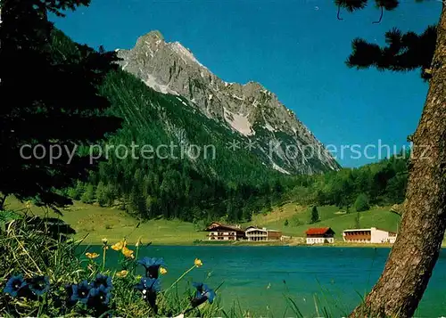AK / Ansichtskarte Lautersee Mittenwald Blauer Enzian am Seeufer gegen Wettersteinspitze Kat. Mittenwald
