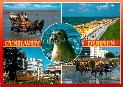 AK / Ansichtskarte Cuxhaven Duhnen Nordseebad Wattfahrt Strand Hotels Trabrennen