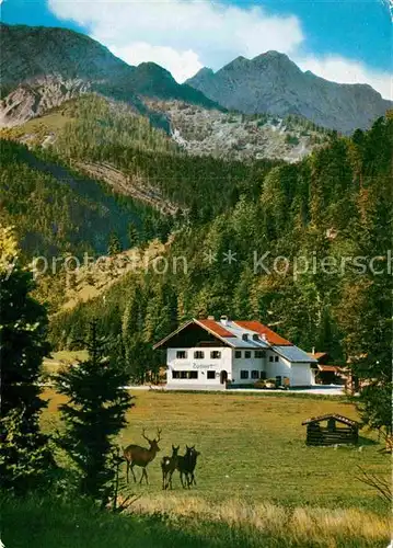 AK / Ansichtskarte Bayrischzell Forstgasthof Zipflwirt mit Sonnwendjoch Kat. Bayrischzell