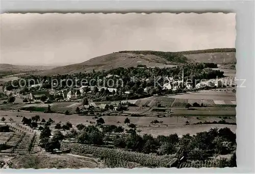 AK / Ansichtskarte Weinsberg Panorama Weibertreu Kat. Weinsberg