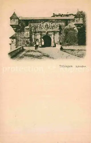 AK / Ansichtskarte Tuebingen Schlosstor Kat. Tuebingen