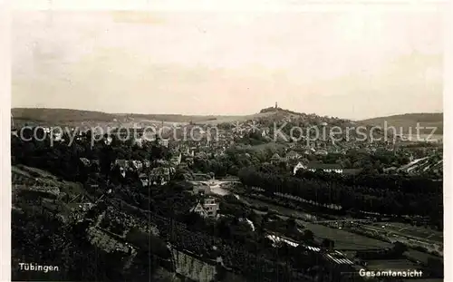 AK / Ansichtskarte Tuebingen Panorama Kat. Tuebingen