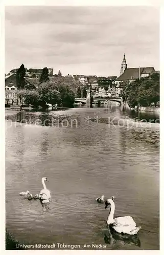 AK / Ansichtskarte Tuebingen Panorama Neckar Kat. Tuebingen