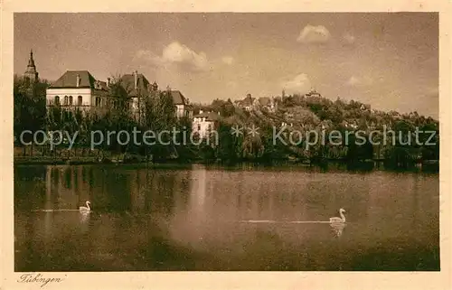 AK / Ansichtskarte Tuebingen Anlagensee Oesterberg Kat. Tuebingen