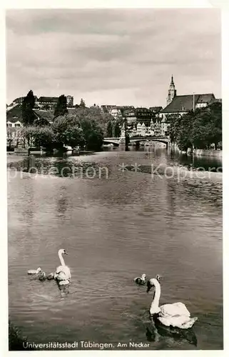 AK / Ansichtskarte Tuebingen Neckar Panorama Kat. Tuebingen