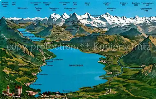 AK / Ansichtskarte Thun BE Thunersee Interlaken Brienzersee Kat. Thun