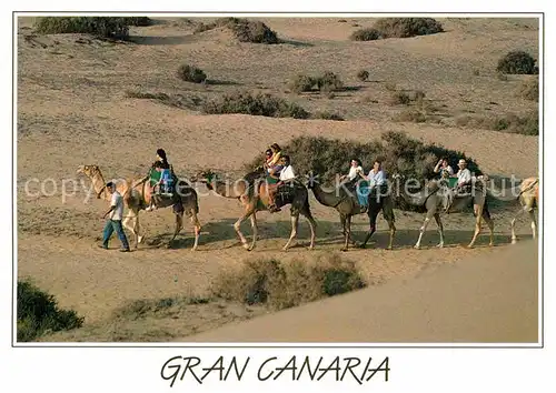AK / Ansichtskarte Kamele Gran Canaria Camellos Dunas  Kat. Tiere