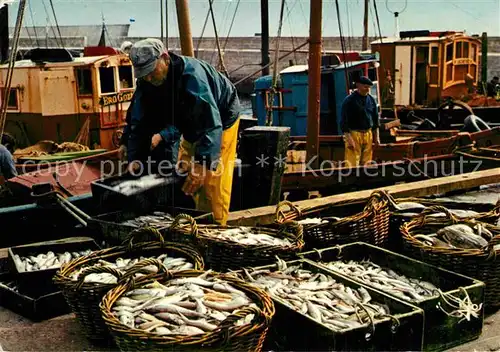 AK / Ansichtskarte Fischerei Peche en Bretagne Tri du Poisson  Kat. Handwerk