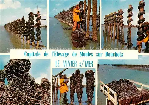 AK / Ansichtskarte Fischerei Elevage de Moules sur Bouchots Vivier sur Mer  Kat. Handwerk