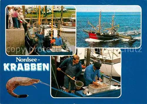 AK / Ansichtskarte Fischerei Krabbenkutter SW 1 Elfriede Krabben Nordsee  Kat. Handwerk