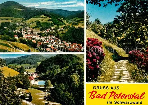 AK / Ansichtskarte Bad Peterstal Griesbach  Kat. Bad Peterstal Griesbach