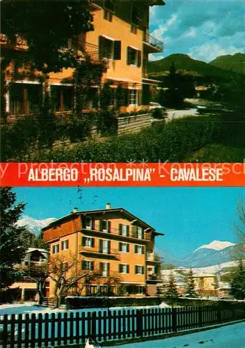 AK / Ansichtskarte Cavalese Albergo Rosalpina 