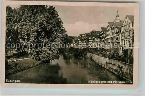 AK / Ansichtskarte Tuebingen Neckarpartie Platanenallee Kat. Tuebingen