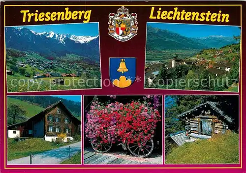 AK / Ansichtskarte Triesenberg Fuerstentum Liechtenstein Walsersiedlung Altes Walserhaus Blumenwagen Alte Magerheuhuette Kat. Liechtenstein