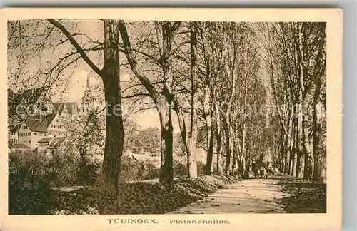 AK / Ansichtskarte Tuebingen Platanenallee Kat. Tuebingen