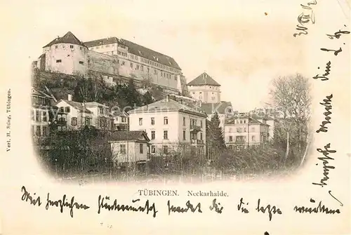 AK / Ansichtskarte Tuebingen Neckarhalde Kat. Tuebingen