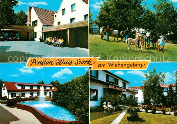 AK / Ansichtskarte Bad Holzhausen Luebbecke Pension Haus Stork Park ...