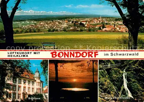 AK / Ansichtskarte Bonndorf Schwarzwald mit Alpenkette Schloss Wutachschlucht Kat. Bonndorf