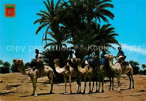 AK / Ansichtskarte Kamele Maroc Caravane de Meharistas de M Hamid  Kat. Tiere