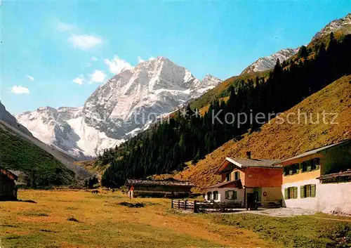 AK / Ansichtskarte Habicht Pinnisalm Stubaital  Kat. Neustift im Stubaital