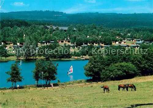 AK / Ansichtskarte Kell See Aegon Ferienpark Hochwald Pferde Kat. Kell am See