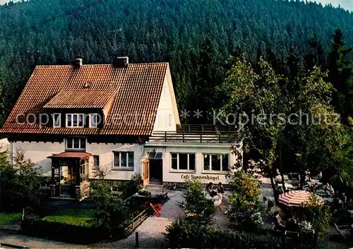 AK / Ansichtskarte Wildemann Cafe Pension Sonnenhuegel  Kat. Wildemann Harz