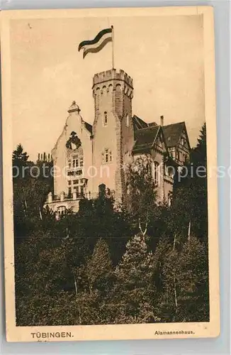 AK / Ansichtskarte Tuebingen Alamannenhaus Kat. Tuebingen