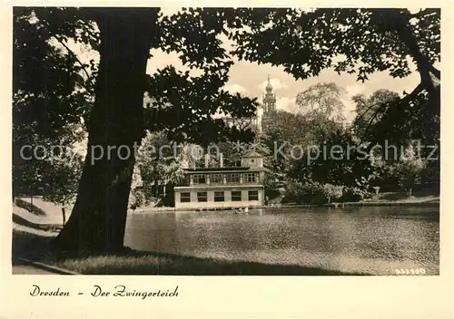 AK / Ansichtskarte Dresden Zwingerteich Kat. Dresden Elbe