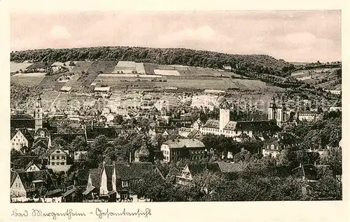 AK / Ansichtskarte Mergentheim Bad Panorama Schloss Kat. Bad Mergentheim