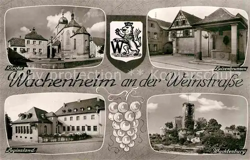 AK / Ansichtskarte Wachenheim Weinstrasse Kirche Luginsland Wachtenburg Luisenbrunnen Kat. Wachenheim an der Weinstrasse