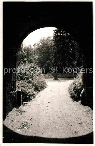 AK / Ansichtskarte Hardenburg Tordurchblick Kat. Bad Duerkheim