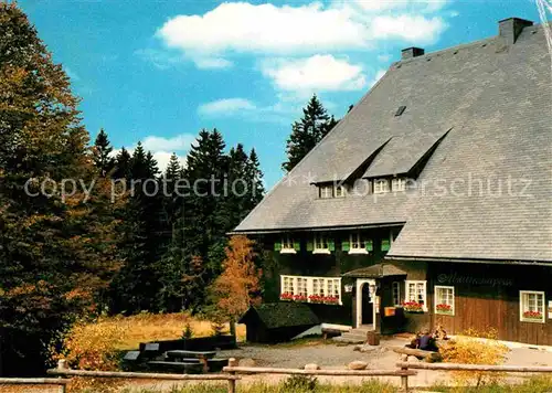 AK / Ansichtskarte Furtwangen Berggasthof Martinskapelle an der Donauquelle Kat. Furtwangen im Schwarzwald