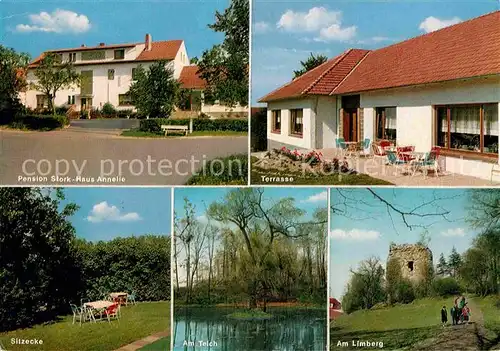 AK / Ansichtskarte Bad Holzhausen Luebbecke Pension Stork Haus Annelie am Wiehengebirge Limberg Burgruine Teich Kat. Preussisch Oldendorf