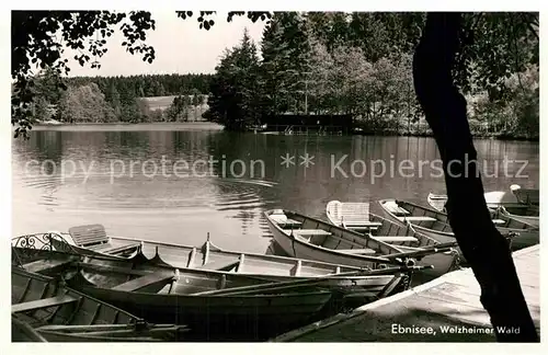 AK / Ansichtskarte Ebnisee Welzheimer Wald Bootssteg