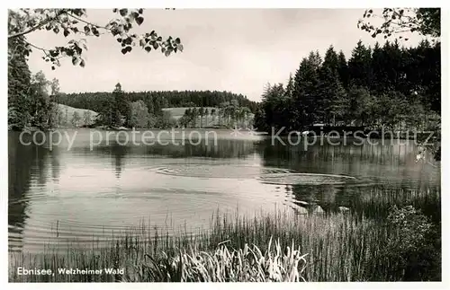 AK / Ansichtskarte Ebnisee im Welzheimer Wald