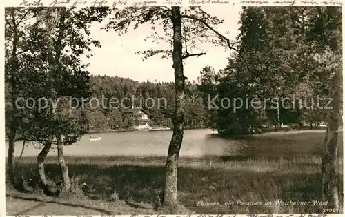 AK / Ansichtskarte Ebnisee im Welzheimer Wald