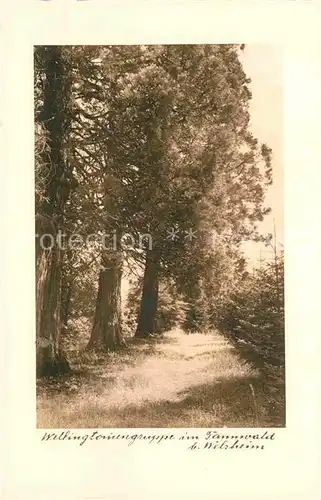 AK / Ansichtskarte Welzheim Wellingtourengruppe im Welzheimer Wald Kat. Welzheim