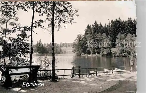 AK / Ansichtskarte Ebnisee Seeblick