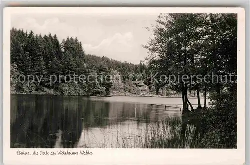 AK / Ansichtskarte Ebnisee Hotel Ebnisee im Welzheimer Wald