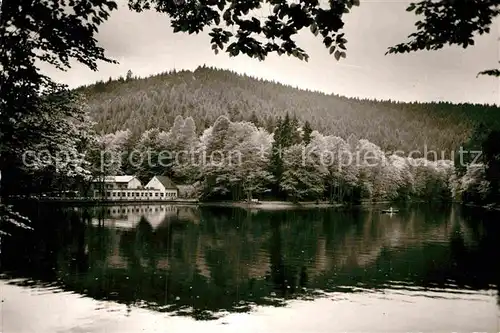 AK / Ansichtskarte Bad Duerkheim Isenachweiher Kat. Bad Duerkheim