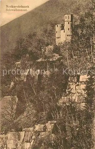 AK / Ansichtskarte Neckarsteinach Burg Schwalbennest Kat. Neckarsteinach