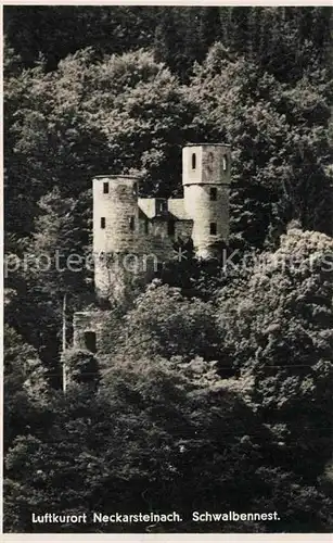 AK / Ansichtskarte Neckarsteinach Burg Schwalbennest Kat. Neckarsteinach