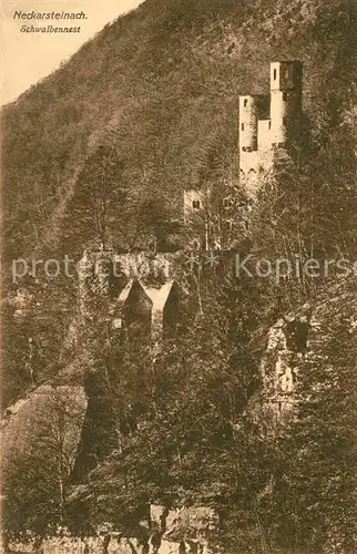 AK / Ansichtskarte Neckarsteinach Burg Schwalbennest Kat. Neckarsteinach