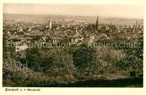 AK / Ansichtskarte Gruenstadt Panorama Kat. Gruenstadt