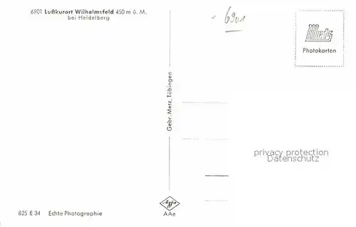 AK / Ansichtskarte Wilhelmsfeld Panorama Kat. Wilhelmsfeld