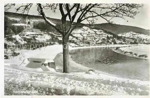 AK / Ansichtskarte Neckarsteinach Winterlandschaft Kat. Neckarsteinach