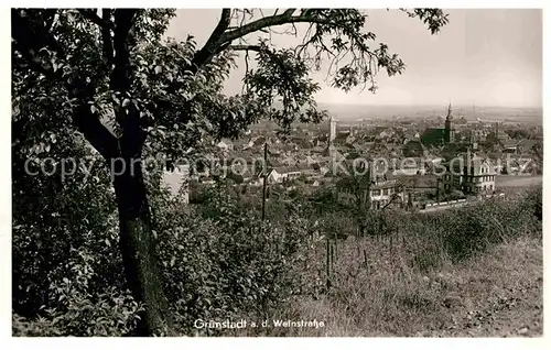 AK / Ansichtskarte Gruenstadt Panorama Kat. Gruenstadt