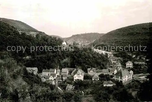 AK / Ansichtskarte Hardenburg Panorama Kat. Bad Duerkheim