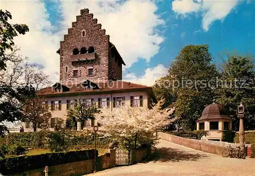 AK / Ansichtskarte Uster ZH Schloss Kat. Uster